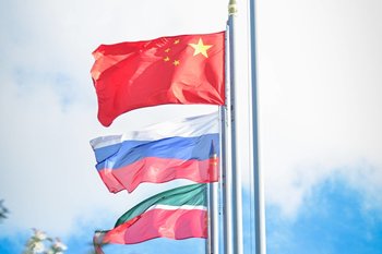 Татарстан нарастит экспорт льна в Китай, нацелившись на рекордный урожай