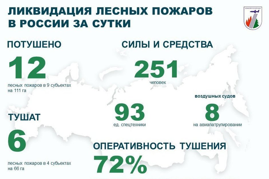 В России за сутки потушили 12 лесных пожаров
