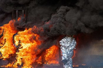 В России за сутки потушили четыре лесных пожара