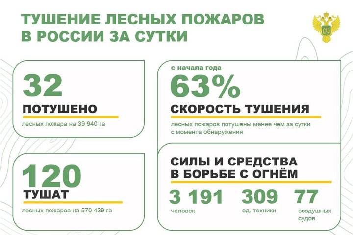 За минувшие сутки в России ликвидировали 32 лесных пожара в 15 регионах страны