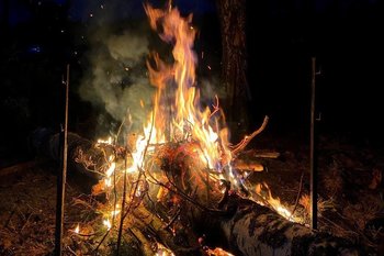 В России за сутки потушено 47 лесных пожаров