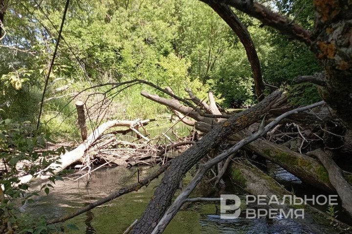 Татарстан получит 135 млн рублей финансирования на расчистку рек