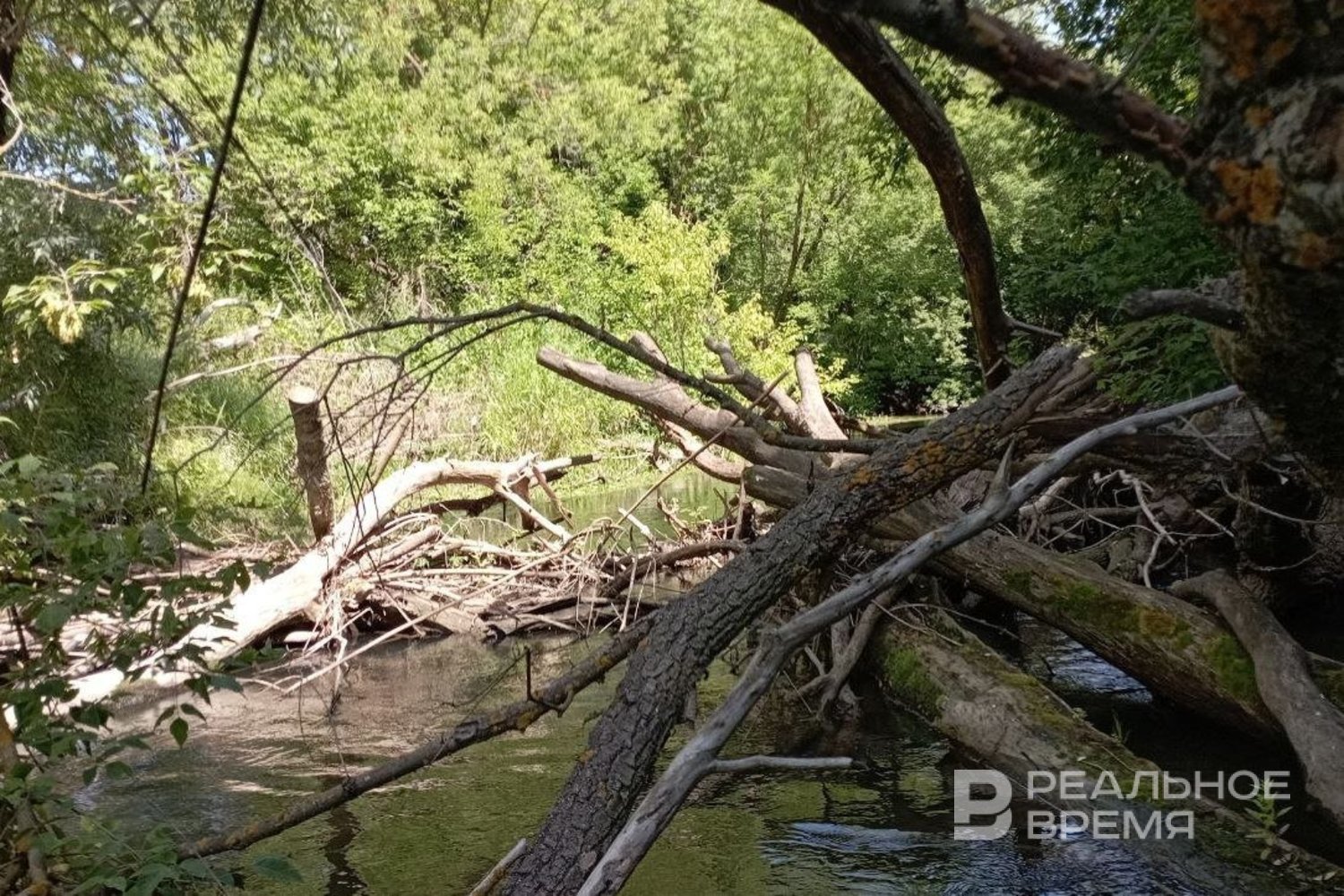 Татарстан получит 135 млн рублей финансирования на расчистку рек