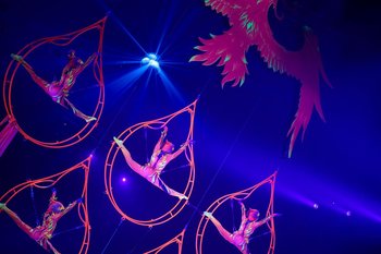 Эльмира Булатова назвала факторы, от которых зависит успех циркового шоу