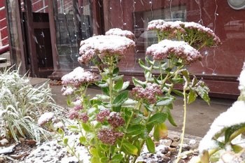 В Татарстане ожидается аномалия средней температуры воздуха