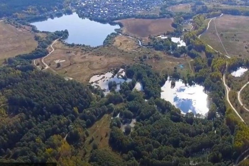 Спасти озеро Ильинское: экосистема Раифского заповедника оказалась на грани катастрофы