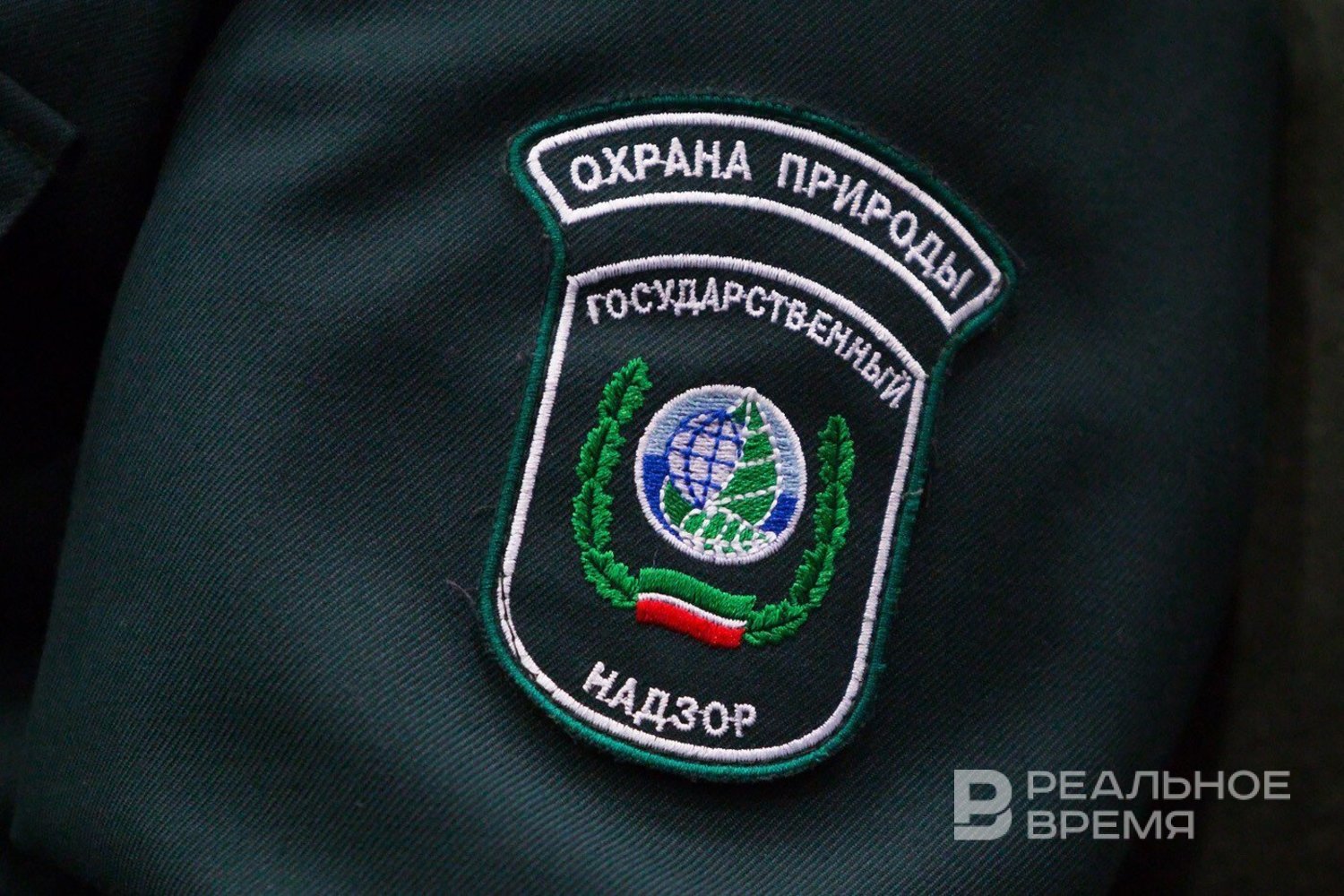 Поступления от экологических платежей выросли в 2025 году
