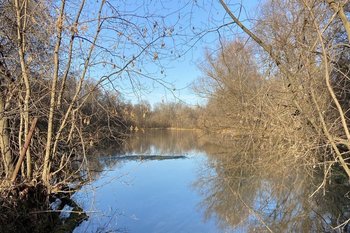 Сегодня в Татарстане ожидается до +8 градусов