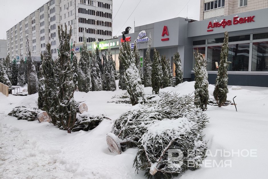 В Казани откроют 18 пунктов приема новогодних елок уже с 13 января