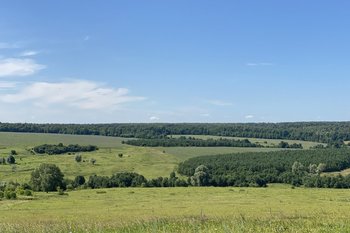 В Новошешминском районе рекультивировали загрязненный нефтепродуктами участок земли