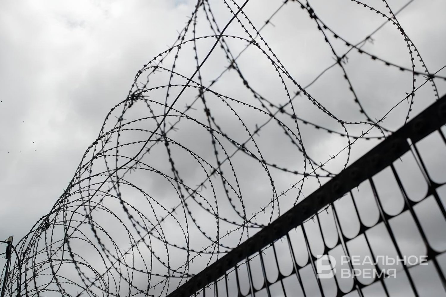 Россиянина приговорили в Греции к 118 годам за организацию незаконной миграции