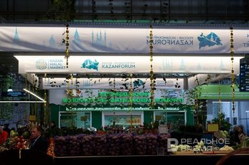 В Татарстане из-за дефицита и дороговизны картофеля увеличили его посевные площади