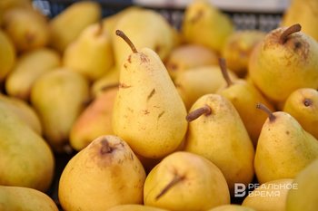 В Татарстане индекс потребительских цен в январе составил 101,9%