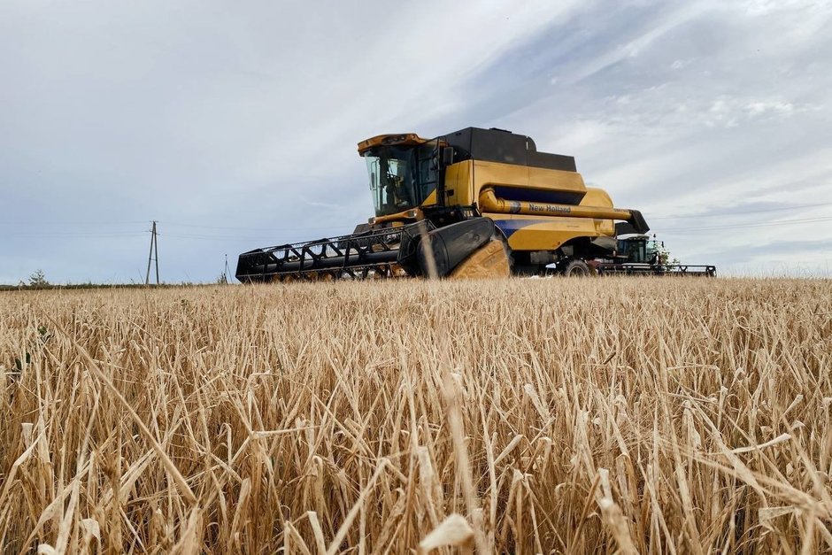 В Альметьевском районе собрали 94% зерновых культур, несмотря на сложные погодные условия