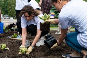 На озеленение Казани потратят 31 миллион рублей