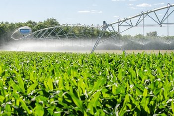 В Татарстане в 2026 году на развитие сельхозтерриторий направят почти 13 млрд рублей