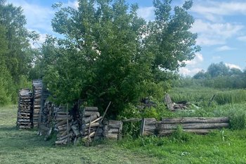 В Госдуме объяснили, как стать владельцем заброшенного дома