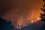 За последние сутки в 14 регионах России потушили еще 37 лесных пожаров