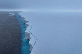 ААНИИ: крупнейший в мире айсберг за три месяца потерял около 36% площади