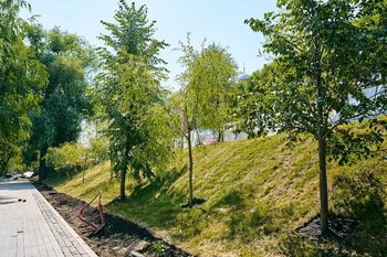 На набережной озера Кабан в Казани высадят 600 крупномеров