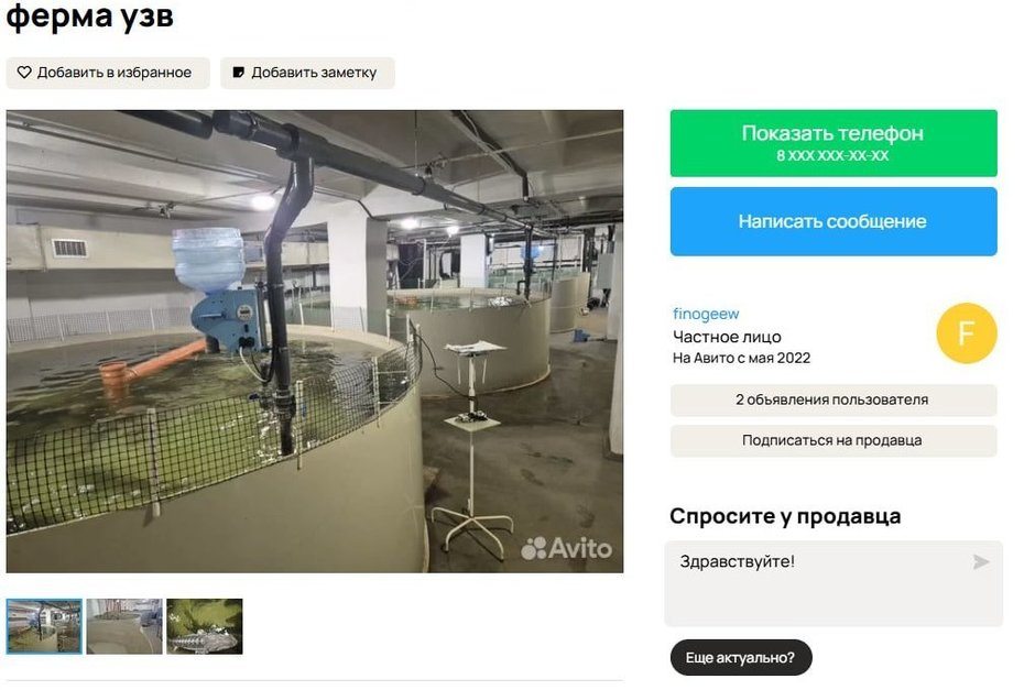 В Казани выставили на продажу рыбную ферму