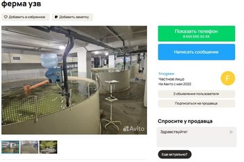 В Казани выставили на продажу рыбную ферму