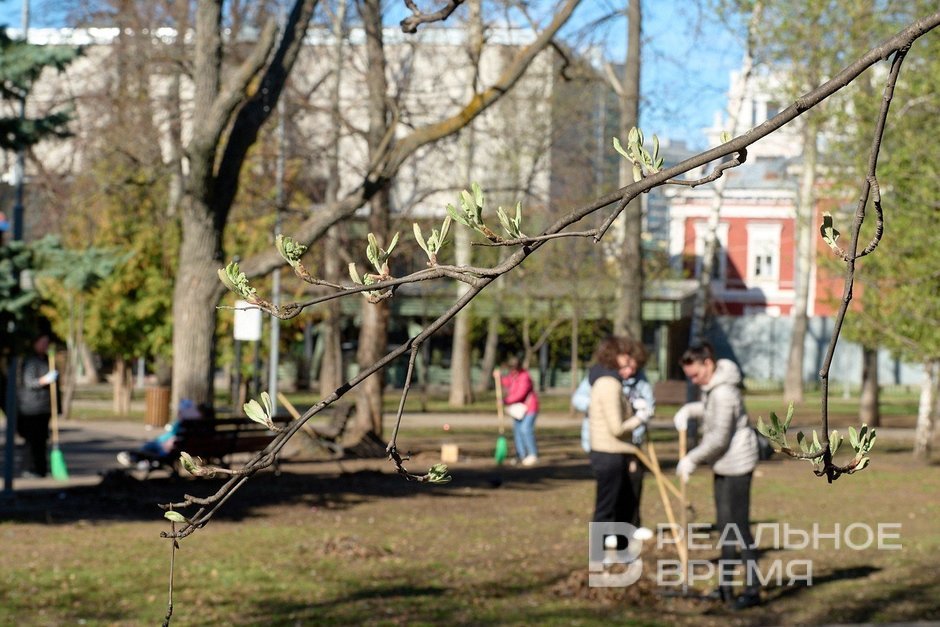 Сегодня в Татарстане ожидается до +15 градусов