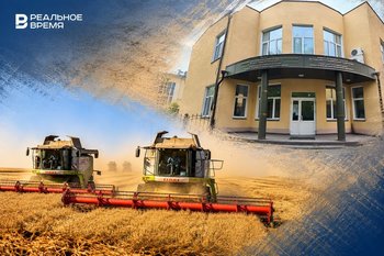 Татарстанские хлеборобы не могут реализовать собранный урожай
