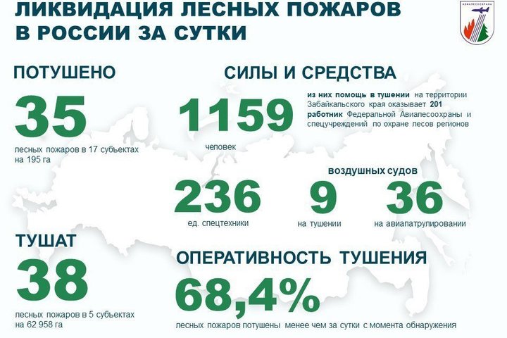 За прошедшие сутки в России потушили 35 лесных пожаров