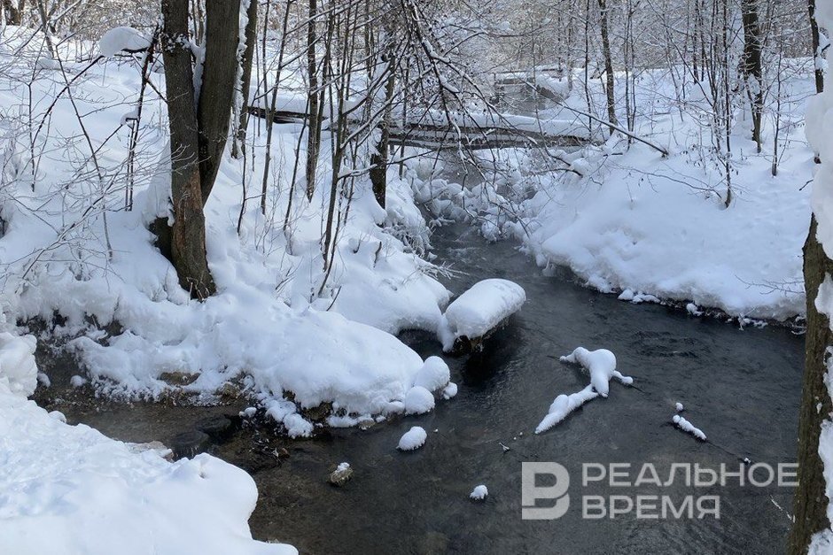 Два татарстанских экопроекта получили президентские гранты почти на 24 млн рублей