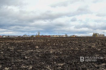 Озимые культуры Татарстана смогут перенести предстоящий зимний период
