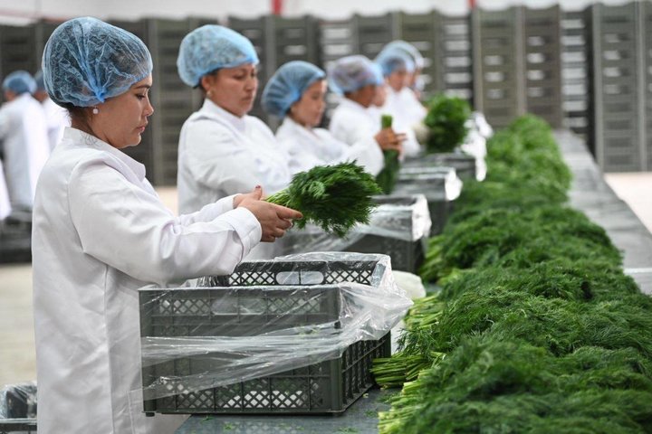 АПК России нуждается в 160 тысячах новых специалистов ежегодно