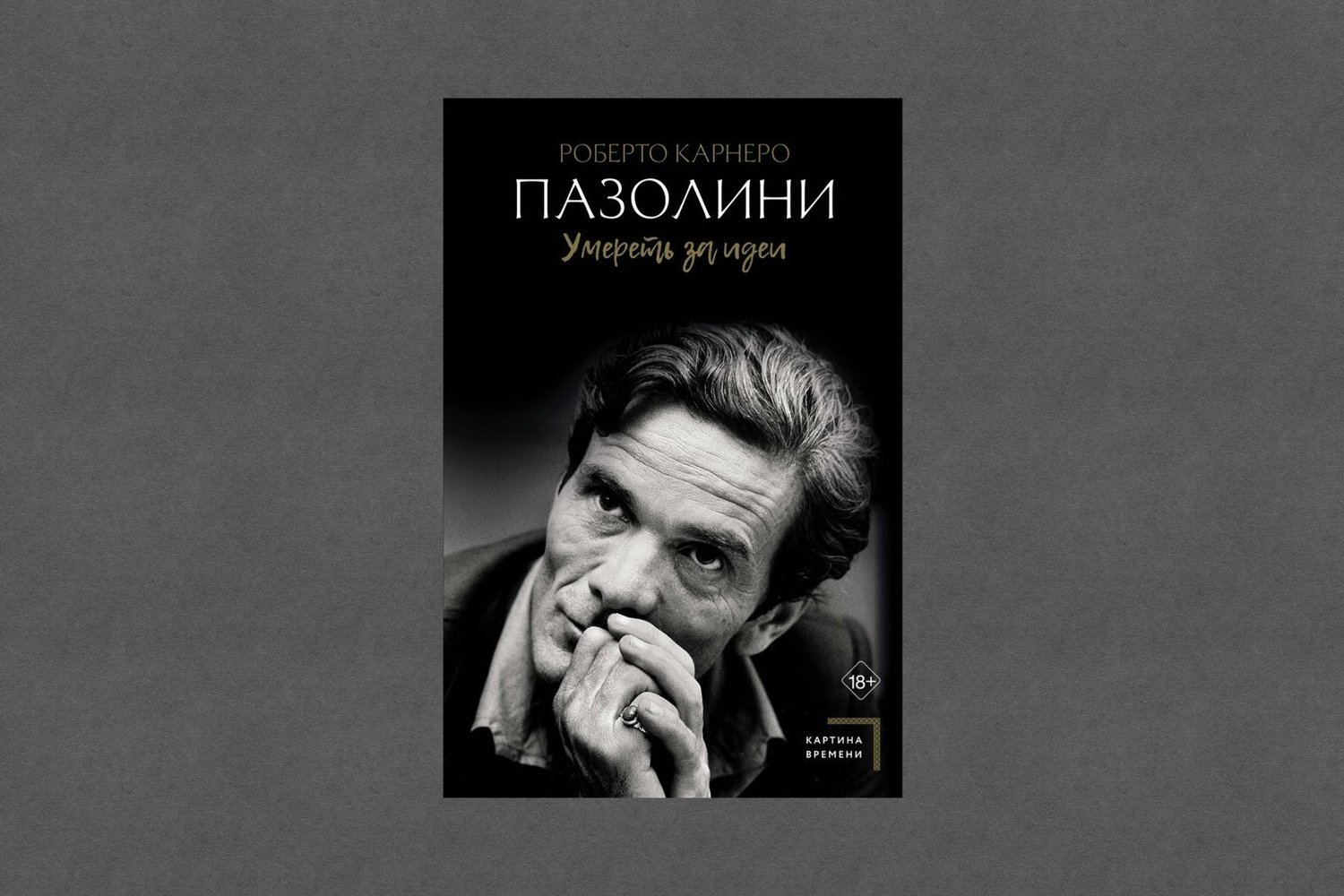 АСТ закрасило пятую часть книги Роберто Карнеро «Пазолини» черными линиями  — Реальное время