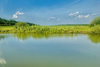 УФАС признало незаконной передачу водного участка в Чистополе