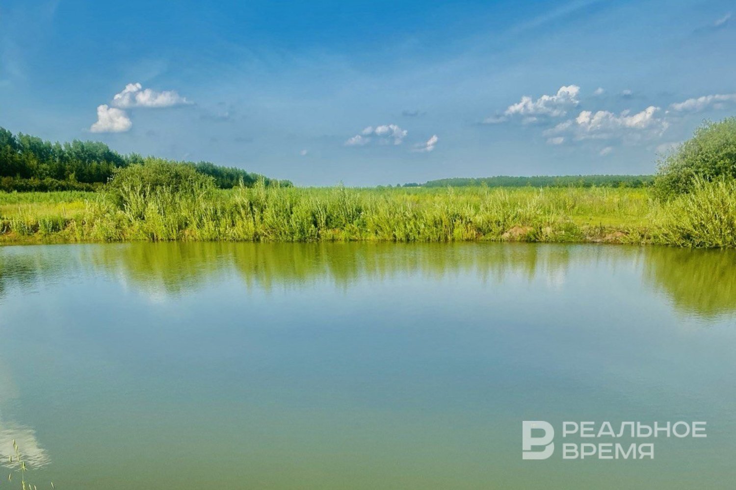 УФАС признало незаконной передачу водного участка в Чистополе
