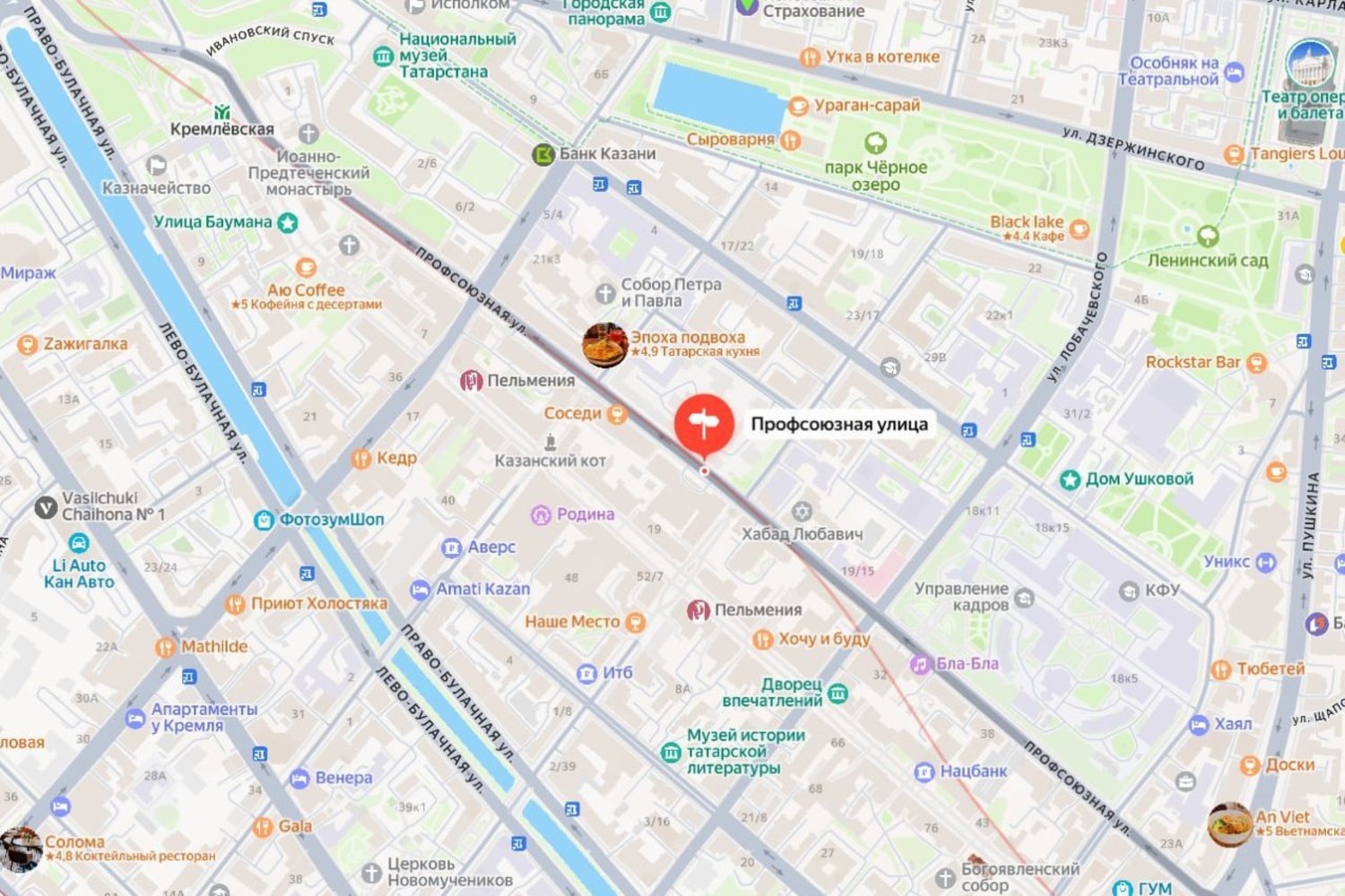 В Казани готовят проект обновления улицы Профсоюзная