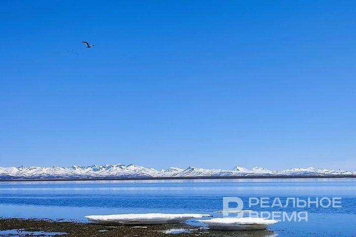 У берегов Камчатки зафиксировали землетрясение магнитудой 6,2