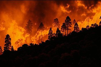 В России за сутки потушили 29 природных пожаров на площади более 27 тыс. гектаров