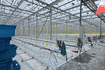 В Татарстане займутся развитием промышленных роботов