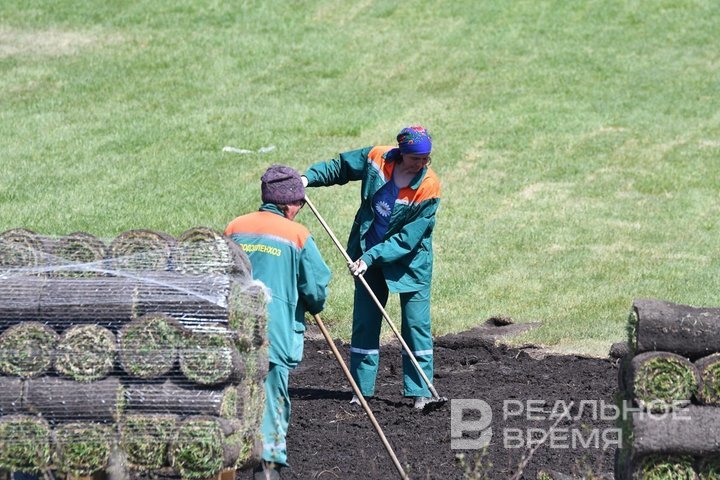 В Казани километр улицы Батурина озеленят почти за 10 млн рублей