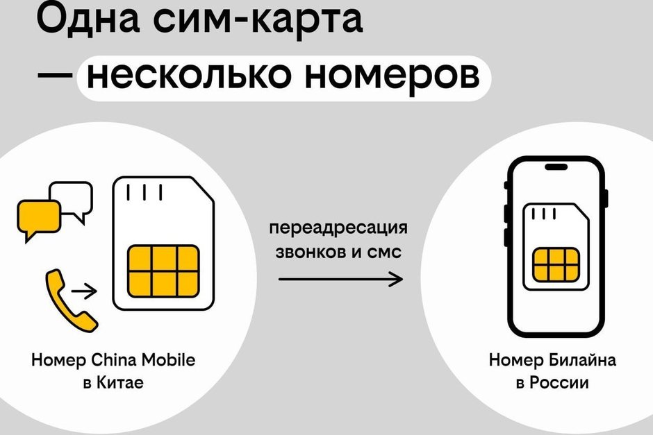Китайский номер без перелетов: как купить в России, а зарегистрировать онлайн