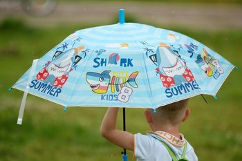 В Татарстане предупредили о грозах с усилением ветра и тумане