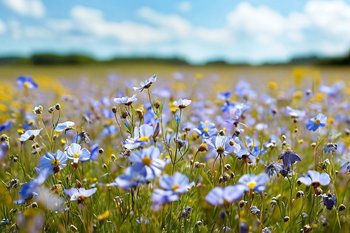 Татарстан уступил Удмуртии и Нижегородской области по сбору льна-долгунца в ПФО