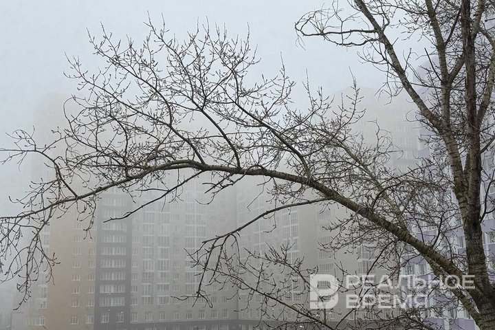 Метеорологи прогнозируют ухудшение видимости в Татарстане до утра