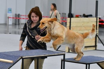 Минприроды предложило регулировать разведение чистокровных животных