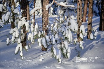 В Казани этой зимой вывезли более 237 тыс. тонн снега, что меньше прошлогоднего рекорда