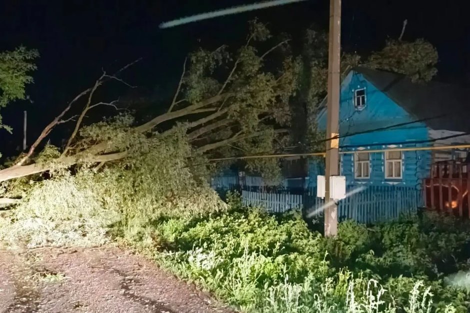 В Татарстане из-за сильного ветра упало 20 деревьев — один человек погиб
