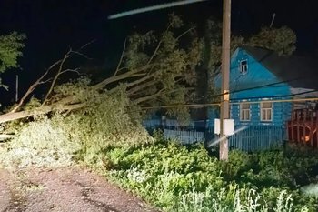 В Татарстане из-за сильного ветра упало 20 деревьев — один человек погиб