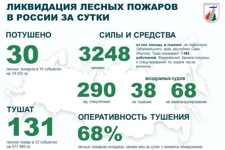 За прошедшие сутки в 16 регионах России потушили 30 лесных пожаров