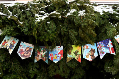 В Татарстане переработали десятки тысяч новогодних елок